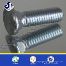 Countersunk Head Carriage Bolt with Blue Surface